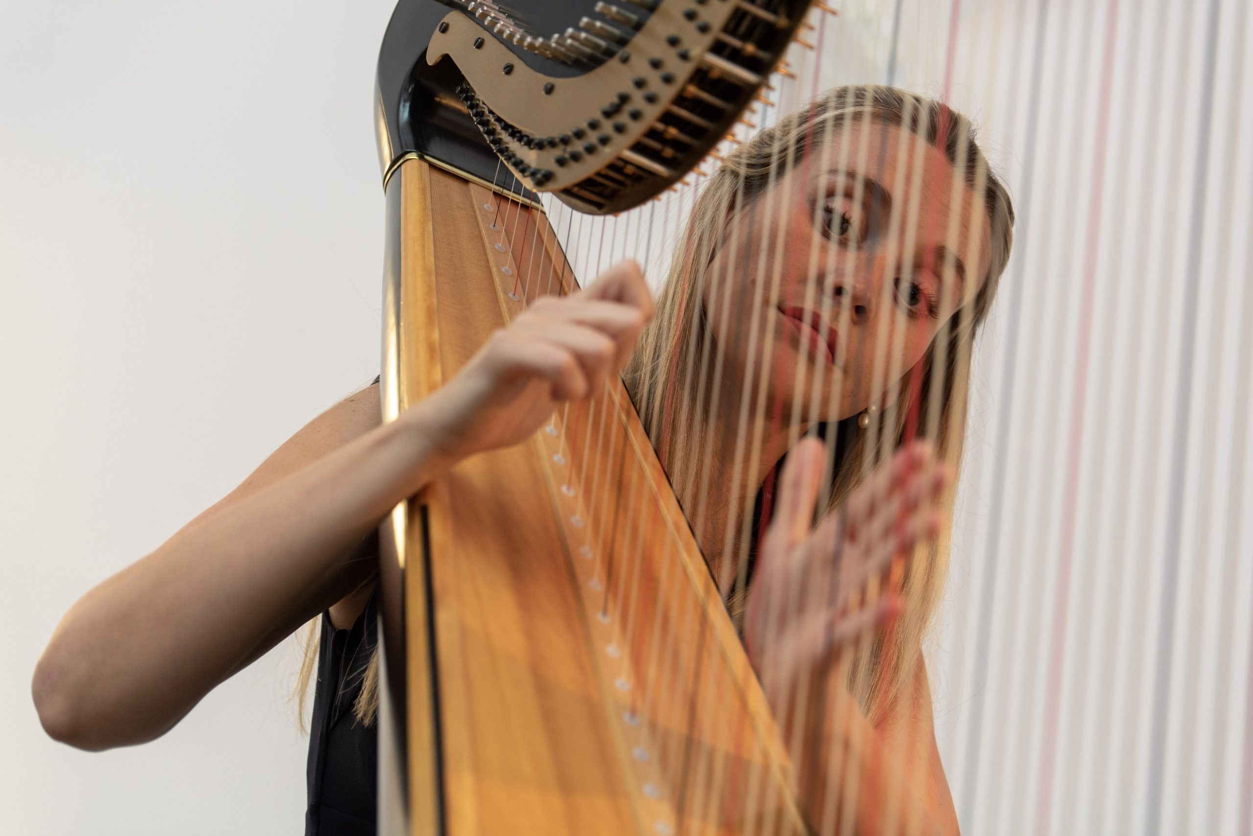 Wislocki Music harpist for luxury events