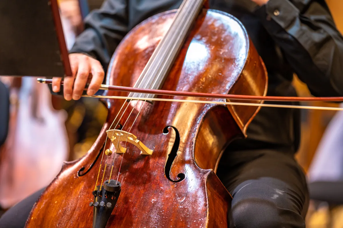 Classical Live Music for Elevated Wedding Venues Around London